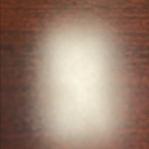 Meet your Posher, Shelly